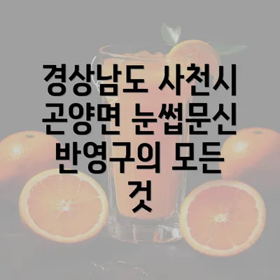 경상남도 사천시 곤양면 눈썹문신 반영구의 모든 것