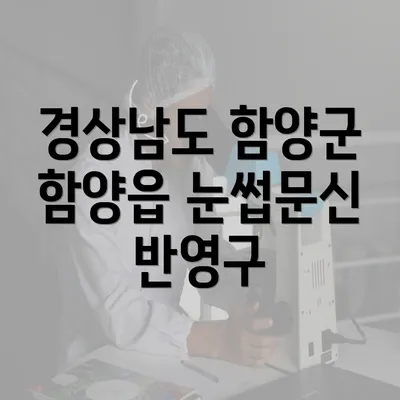 경상남도 함양군 함양읍 눈썹문신 반영구