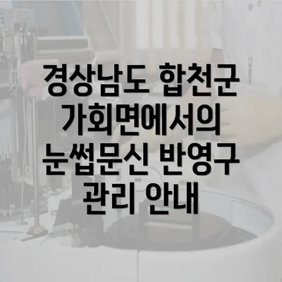 경상남도 합천군 가회면에서의 눈썹문신 반영구 관리 안내