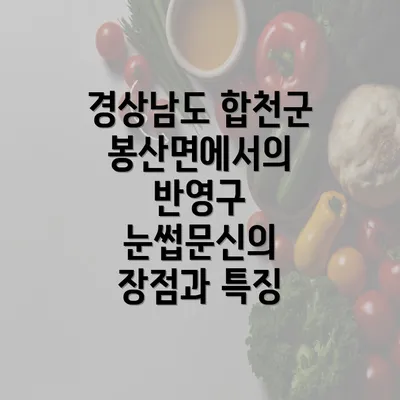 경상남도 합천군 봉산면에서의 반영구 눈썹문신의 장점과 특징