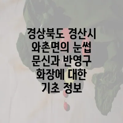 경상북도 경산시 와촌면의 눈썹 문신과 반영구 화장에 대한 기초 정보