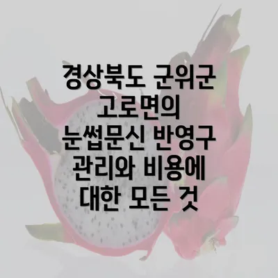 경상북도 군위군 고로면의 눈썹문신 반영구 관리와 비용에 대한 모든 것