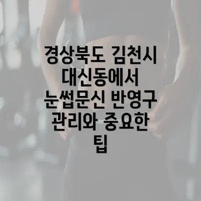 경상북도 김천시 대신동에서 눈썹문신 반영구 관리와 중요한 팁