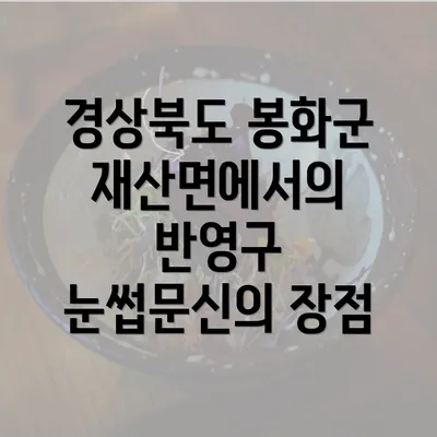 경상북도 봉화군 재산면에서의 눈썹문신 비용과 가격