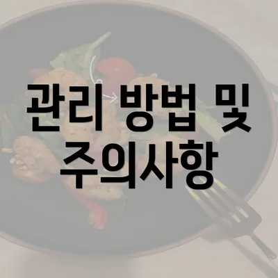 관리 방법 및 주의사항