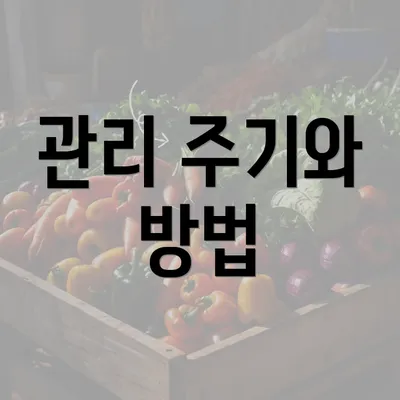 관리 주기와 방법