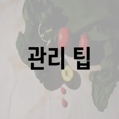 관리 팁