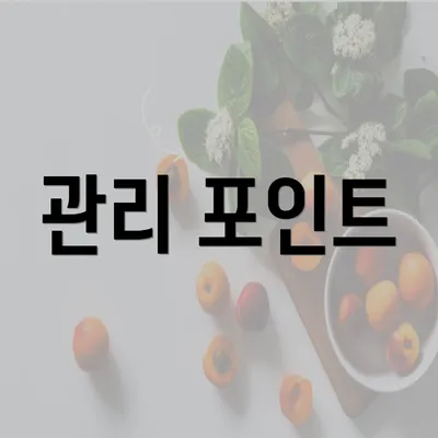 관리 포인트