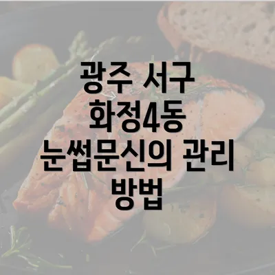 광주 서구 화정4동 눈썹문신의 필요성과 장점