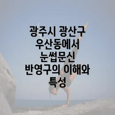 광주시 광산구 우산동에서 눈썹문신 반영구의 이해와 특성