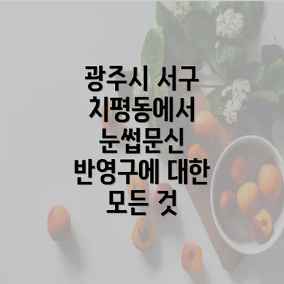 광주시 서구 치평동에서 눈썹문신 반영구에 대한 모든 것