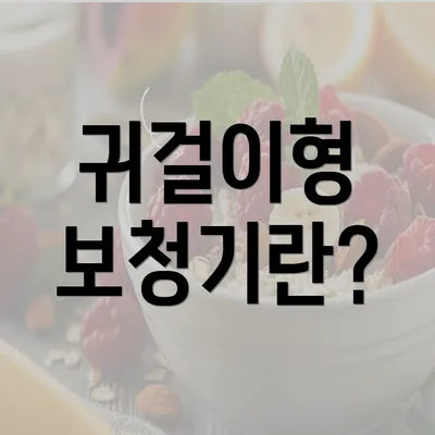 귀걸이형 보청기란?