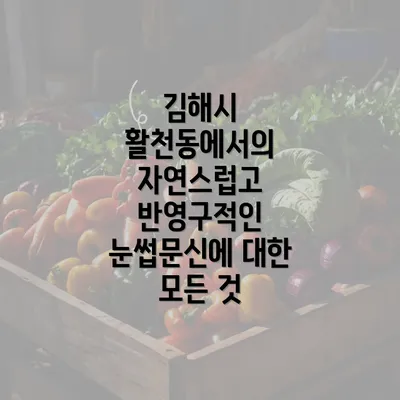 김해시 활천동에서의 자연스럽고 반영구적인 눈썹문신에 대한 모든 것