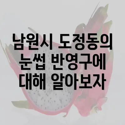 남원시 도정동의 눈썹 반영구에 대해 알아보자