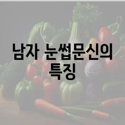 남자 눈썹문신의 특징