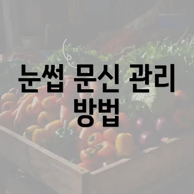 눈썹 문신 관리 방법