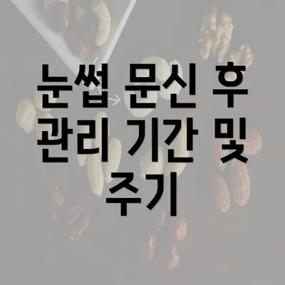 눈썹 문신 후 관리 기간 및 주기