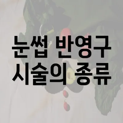 눈썹 반영구 시술의 종류