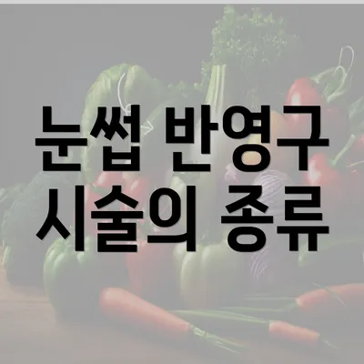 눈썹 반영구 시술의 종류