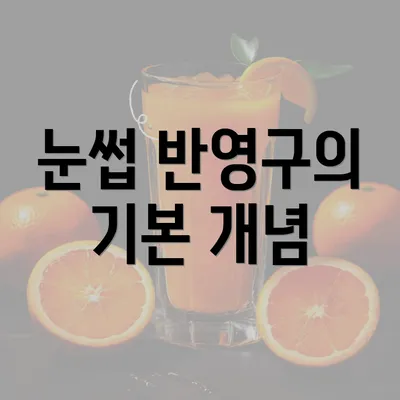 눈썹 반영구의 기본 개념