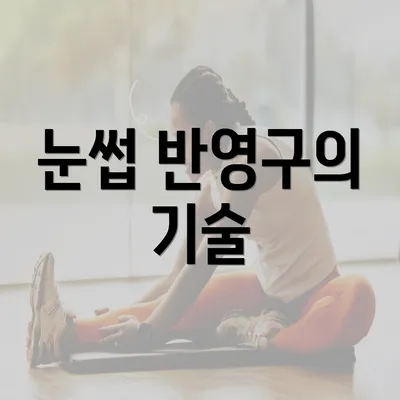 눈썹 반영구의 기술