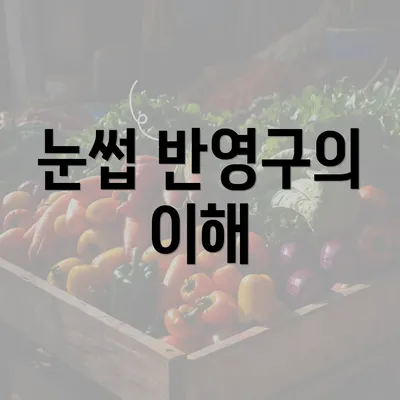 눈썹 반영구의 이해