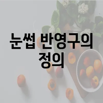 눈썹 반영구의 정의