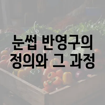 눈썹 반영구의 정의와 그 과정