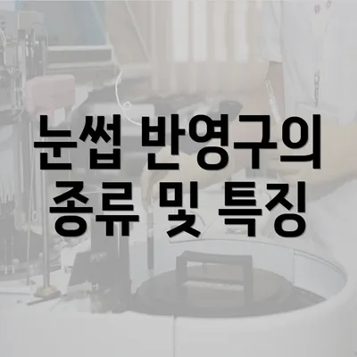 눈썹 반영구의 종류 및 특징