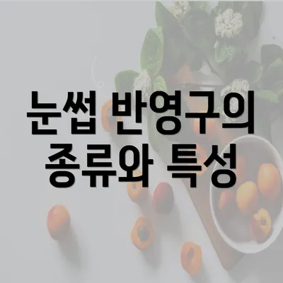 눈썹 반영구의 종류와 특성