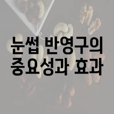 눈썹 반영구의 중요성과 효과