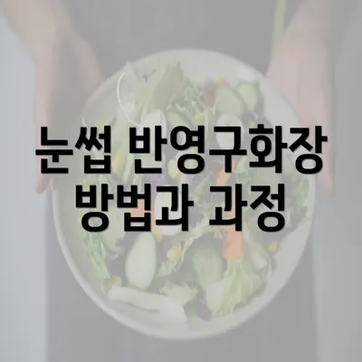 눈썹 반영구화장 방법과 과정