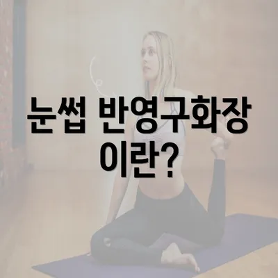 눈썹 반영구화장 이란?