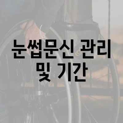 눈썹문신 관리 및 기간