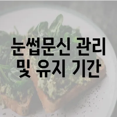 눈썹문신 관리 및 유지 기간