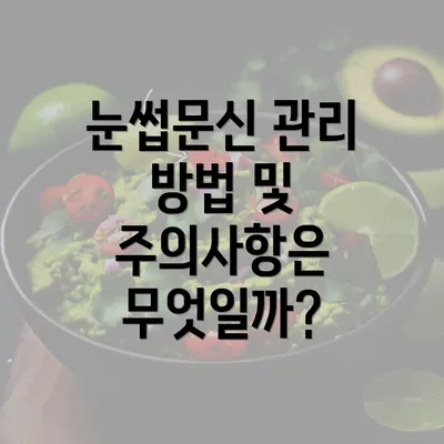 눈썹문신 관리 방법 및 주의사항은 무엇일까?