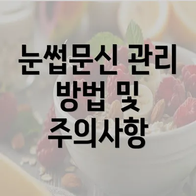 눈썹문신 관리 방법 및 주의사항