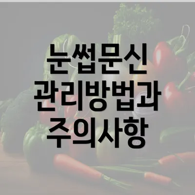 눈썹문신 관리방법과 주의사항