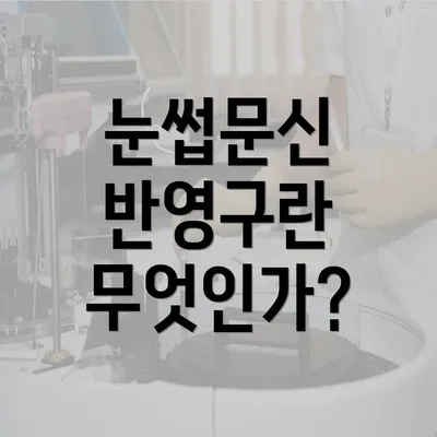 눈썹문신 반영구란 무엇인가?