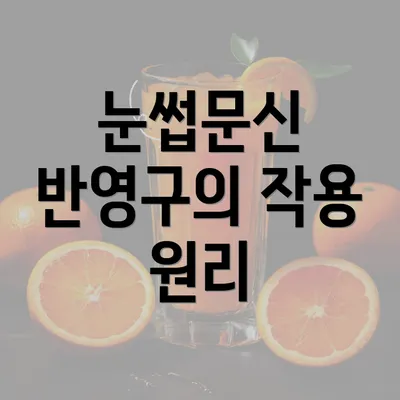 눈썹문신 반영구의 작용 원리