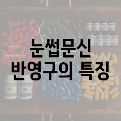 눈썹문신 반영구의 특징