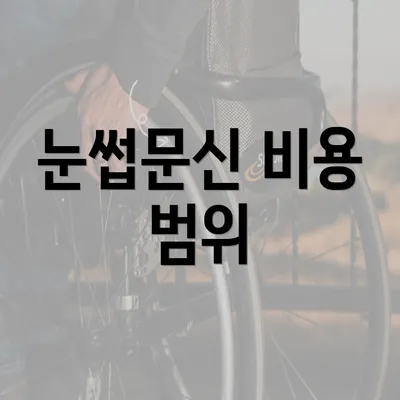 눈썹문신 비용 범위