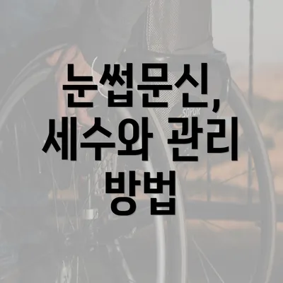 눈썹문신, 세수와 관리 방법