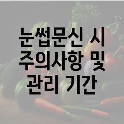 눈썹문신 시 주의사항 및 관리 기간