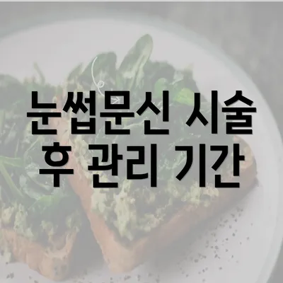 눈썹문신 시술 후 관리 기간