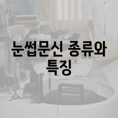 눈썹문신 종류와 특징