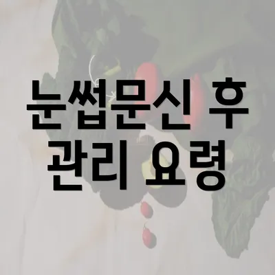 눈썹문신 후 관리 요령