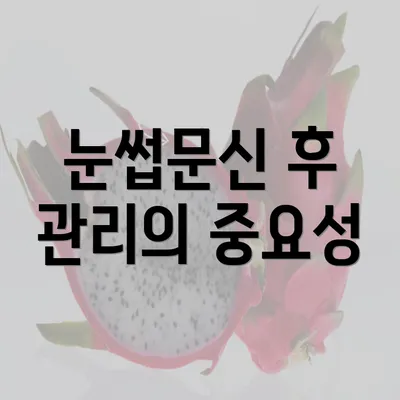 눈썹문신 후 관리의 중요성