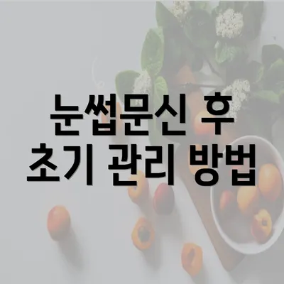 눈썹문신 후 초기 관리 방법