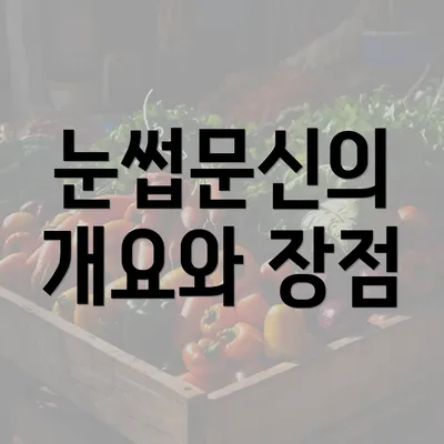 눈썹문신의 개요와 장점